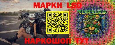 MDMA Гатчина