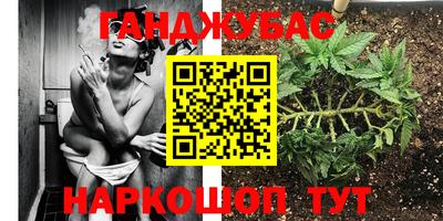 MDMA Гатчина