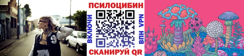 цена   Керчь  Псилоцибиновые грибы GOLDEN TEACHER 