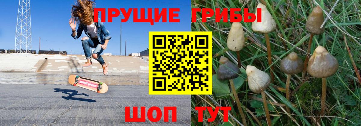 Галлюциногенные грибы ЛСД Керчь